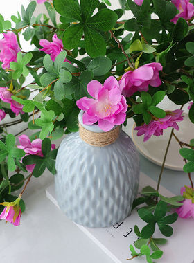 十里香假花仿真花束绿植墙面壁挂客厅阳台吊兰藤条装饰花藤蔓植物