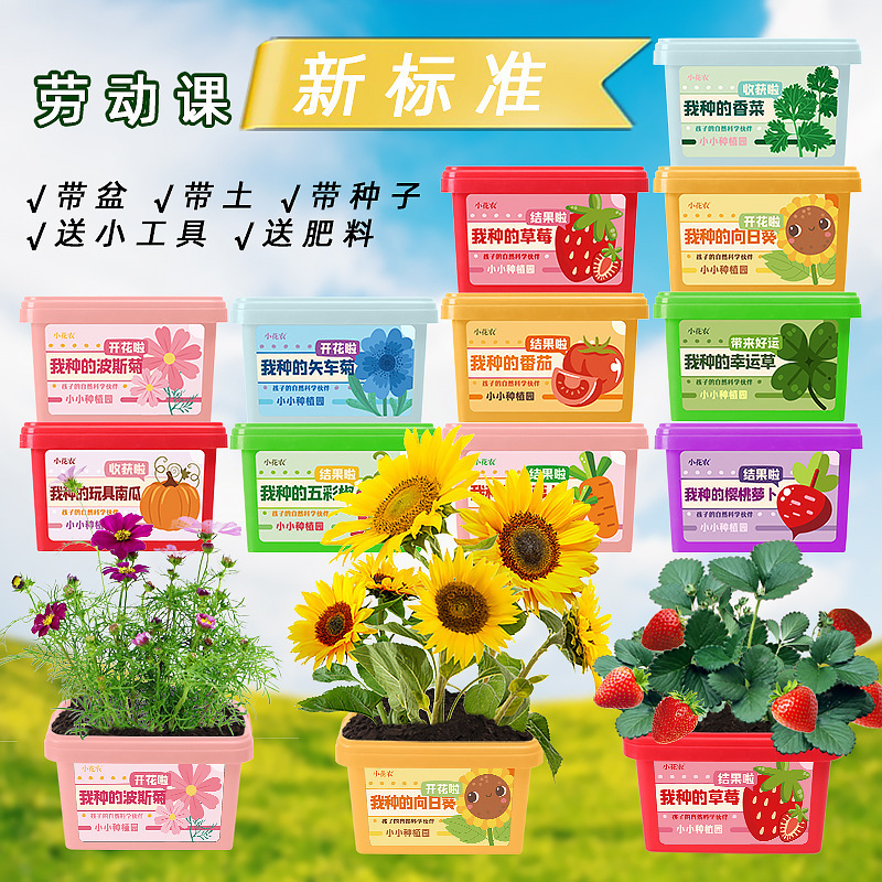 小花农种植园礼包创意伴手礼品小学生奖品diy玩具 幼儿园礼物 - 图1