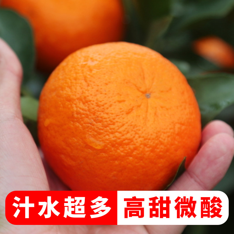 沃柑云南高山原产地直发10斤一整箱当季精品无籽新鲜沃柑正宗