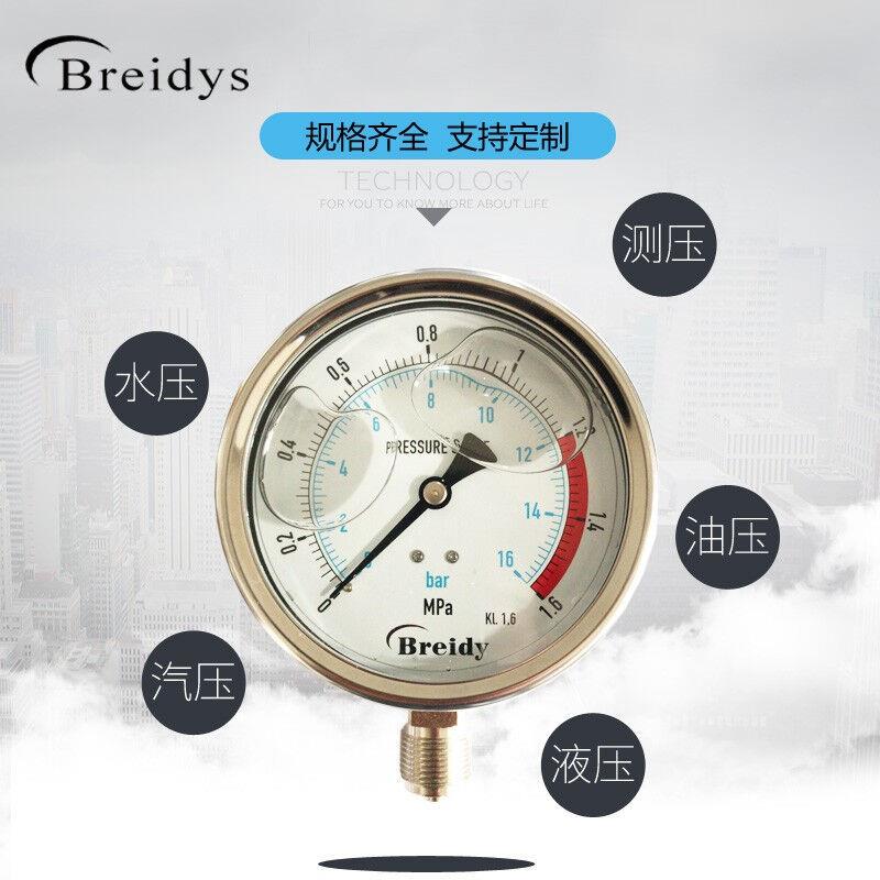 Breidys压力表YN100不锈钢耐震压力表测水压气压通用0-1.6/100Mpa - 图1