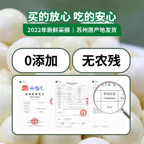 芡食坊大颗粒鸡头米新鲜苏州2023年芡实产地冷运直发鸡米头非手剥 - 图2
