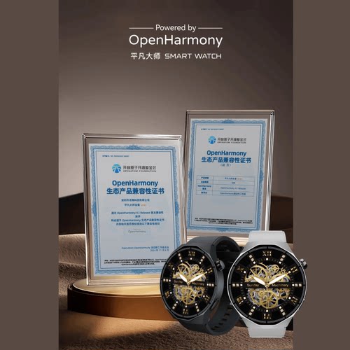 官方正品平凡大师HT30新款鸿蒙开源系统智能手表多功能海思芯片健康运动检测离线支付NFC门禁录音商务款 - 图2