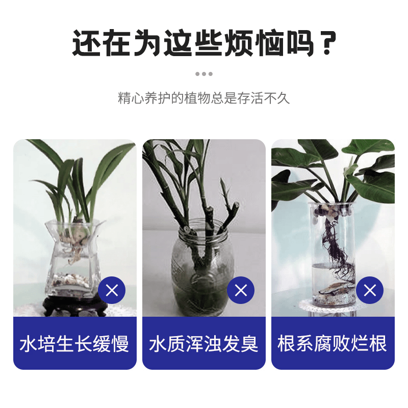【养花不换水】净水免换水培植物通用鲜花保鲜消毒片专用净水保鲜