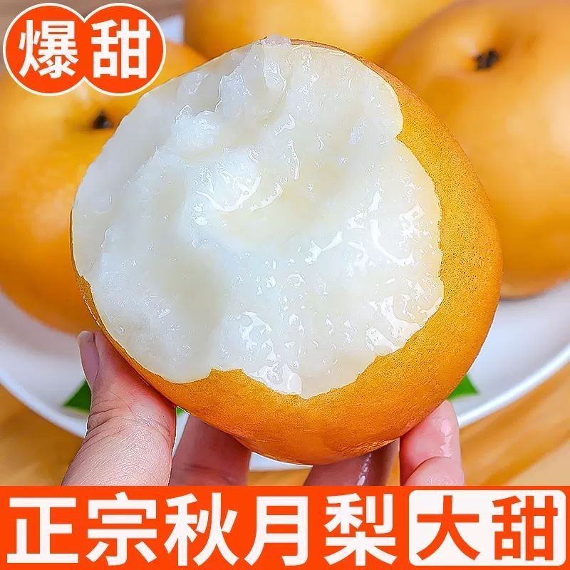 【脆甜】山东莱阳正宗秋月梨新鲜水果大果冰糖梨5斤当季9斤整箱