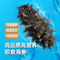 Ren Farmers Sea Cucumbers Ready-to-eat Dalian Fresh Fresh Dry Sea 3 Liao Ginseng Dry Goods Wild Heisei 500g Single Bagging