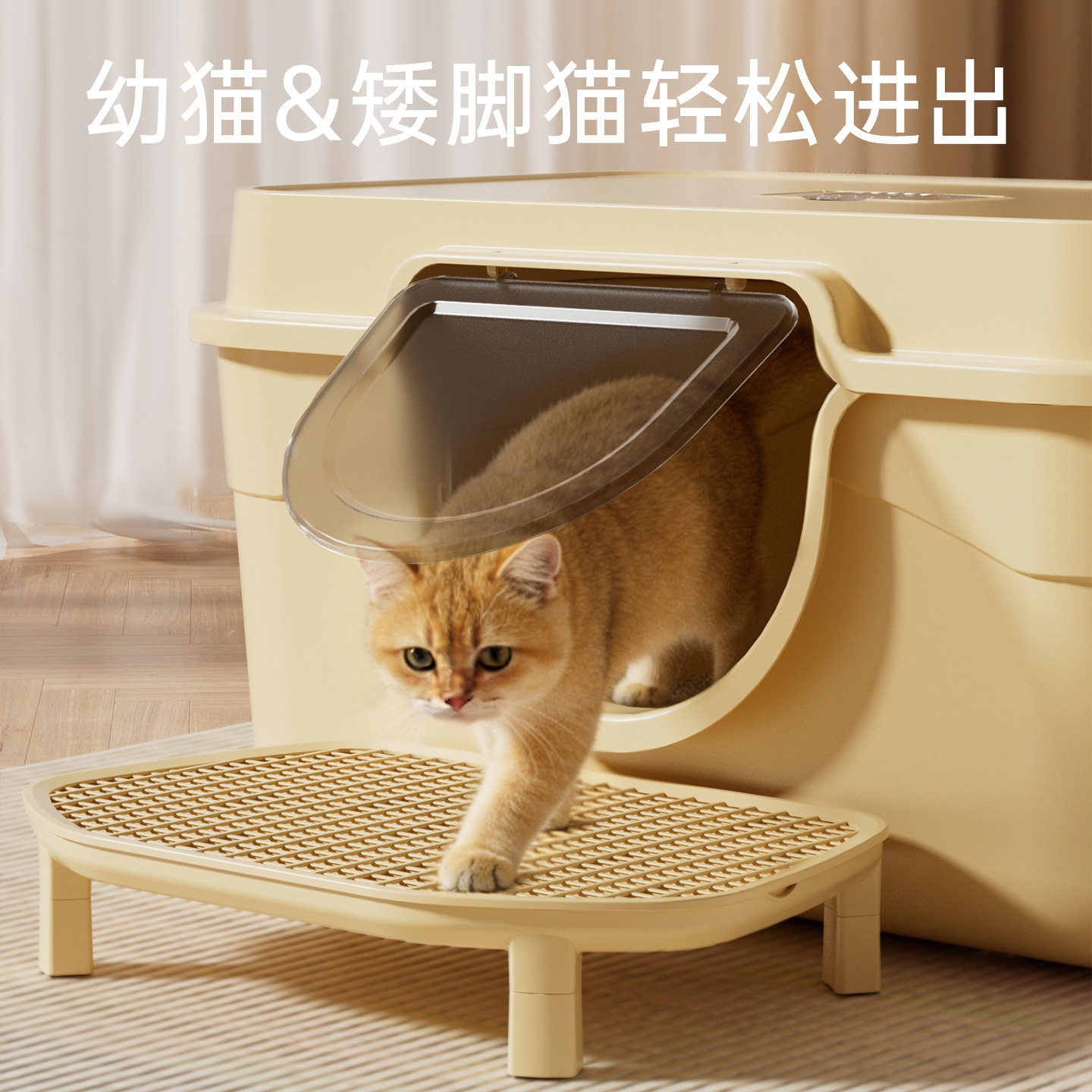 图2
