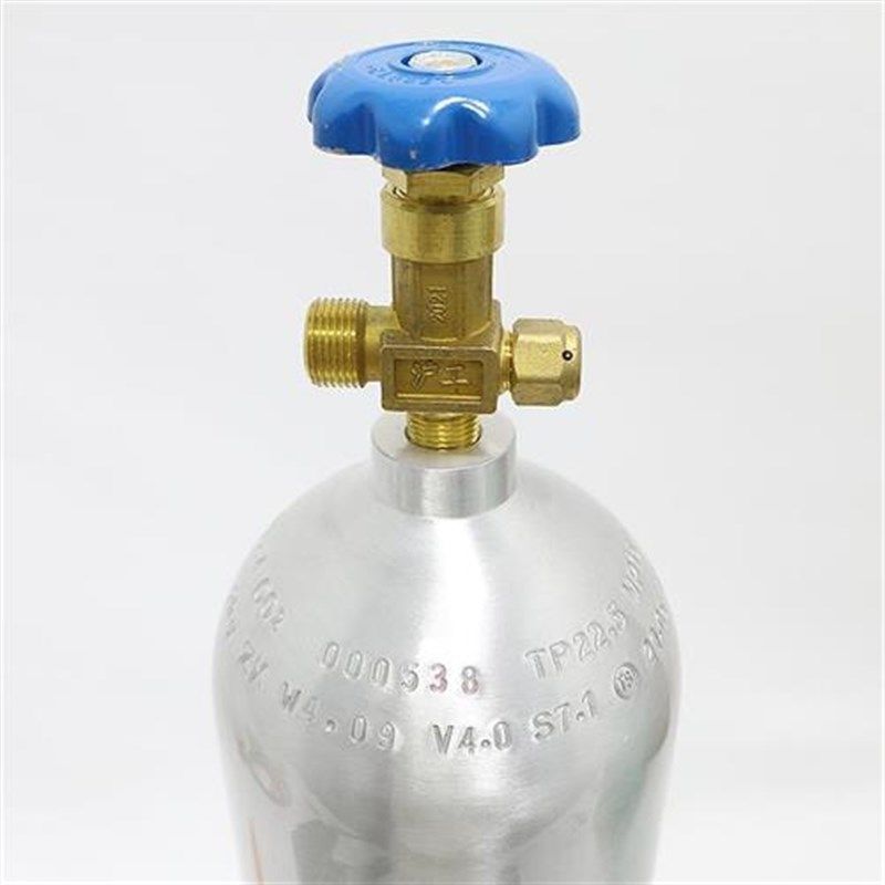 二氧化碳钢瓶高压小气瓶水草co2铝B瓶氧气罐铝合金氮气1L2L4升无,淘宝优惠券,粉丝福利购,淘宝优惠卷