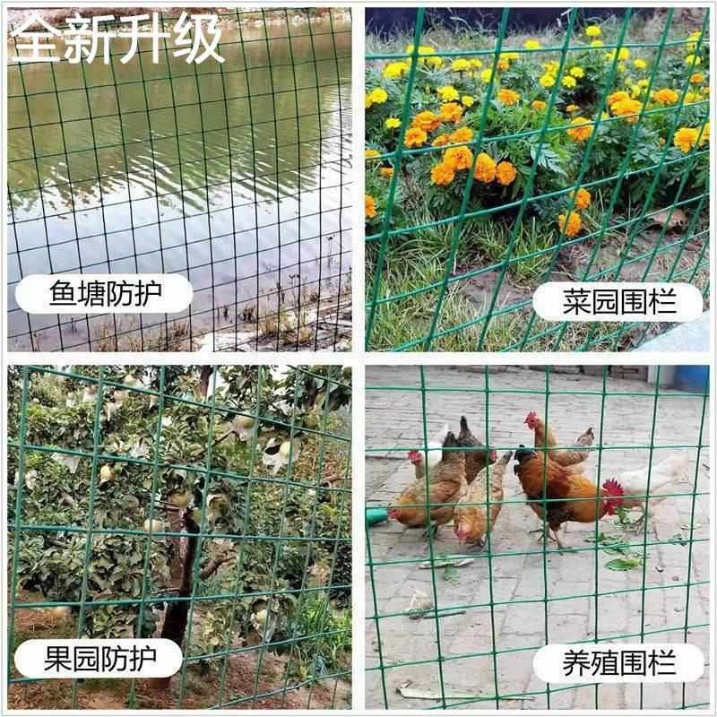 新款小孔阳铁丝网围栏p鸡鸭养殖台防护网菜园防猫鼠蛇钢丝护栏网 - 图3