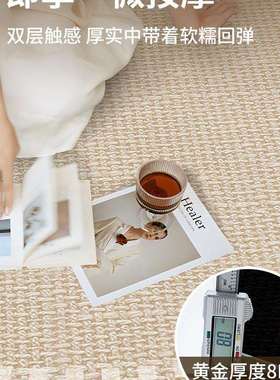 圆形地毯客厅沙发地垫法式卧室新款茶几垫子床边复古防水免洗