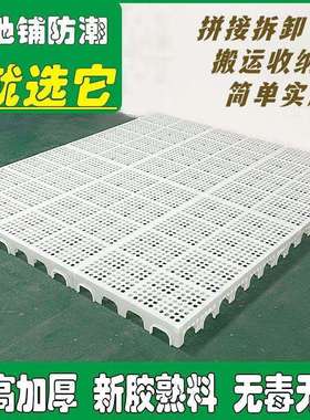 塑料防潮垫板打地铺榻榻米床架拼接式洞洞板床垫卧室垫床防潮神器