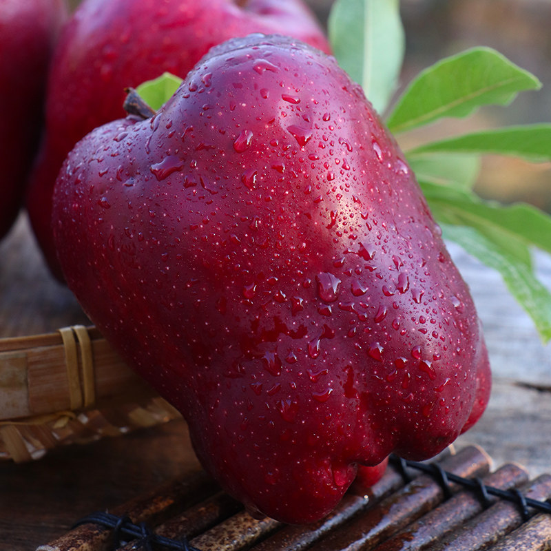 【产地发】甘肃天水花牛苹果正宗新鲜应季粉面糯香甜婴儿辅食刮泥,淘宝优惠券,粉丝福利购,淘宝优惠卷
