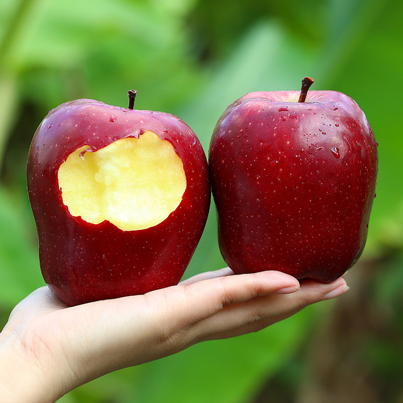 【产地发】甘肃天水花牛苹果正宗新鲜应季粉面糯香甜婴儿辅食刮泥,淘宝优惠券,粉丝福利购,淘宝优惠卷