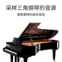 Terrence Hand Rolls Electronic Piano 88 Keyboard Thickened Beginners Home Practice Theorist Folding Portable