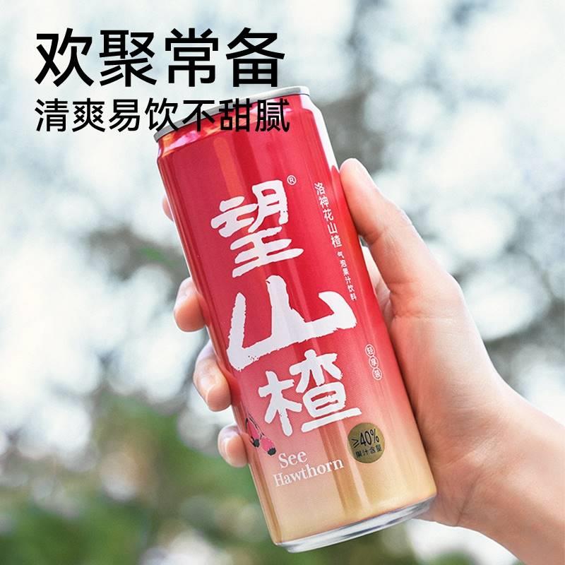 好望水果汁气泡水330ml*6瓶/箱望山楂 望柠萌气泡果汁饮料铝罐装