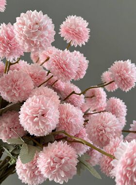 跨境 仿真5头蒲公英婚礼客厅迷你乒乓球菊绢花小球菊蒲公英仿真花
