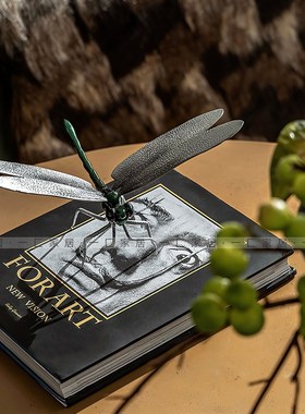 一匚 现代轻奢i金属装饰品创意小摆件家居饰品 样板房书柜书架装