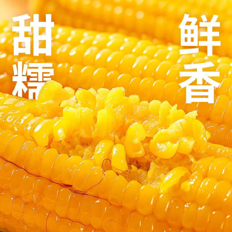 啃糯东北2025年新鲜糯玉米现摘软甜糯真空锁鲜粘玉米低脂早餐8支
