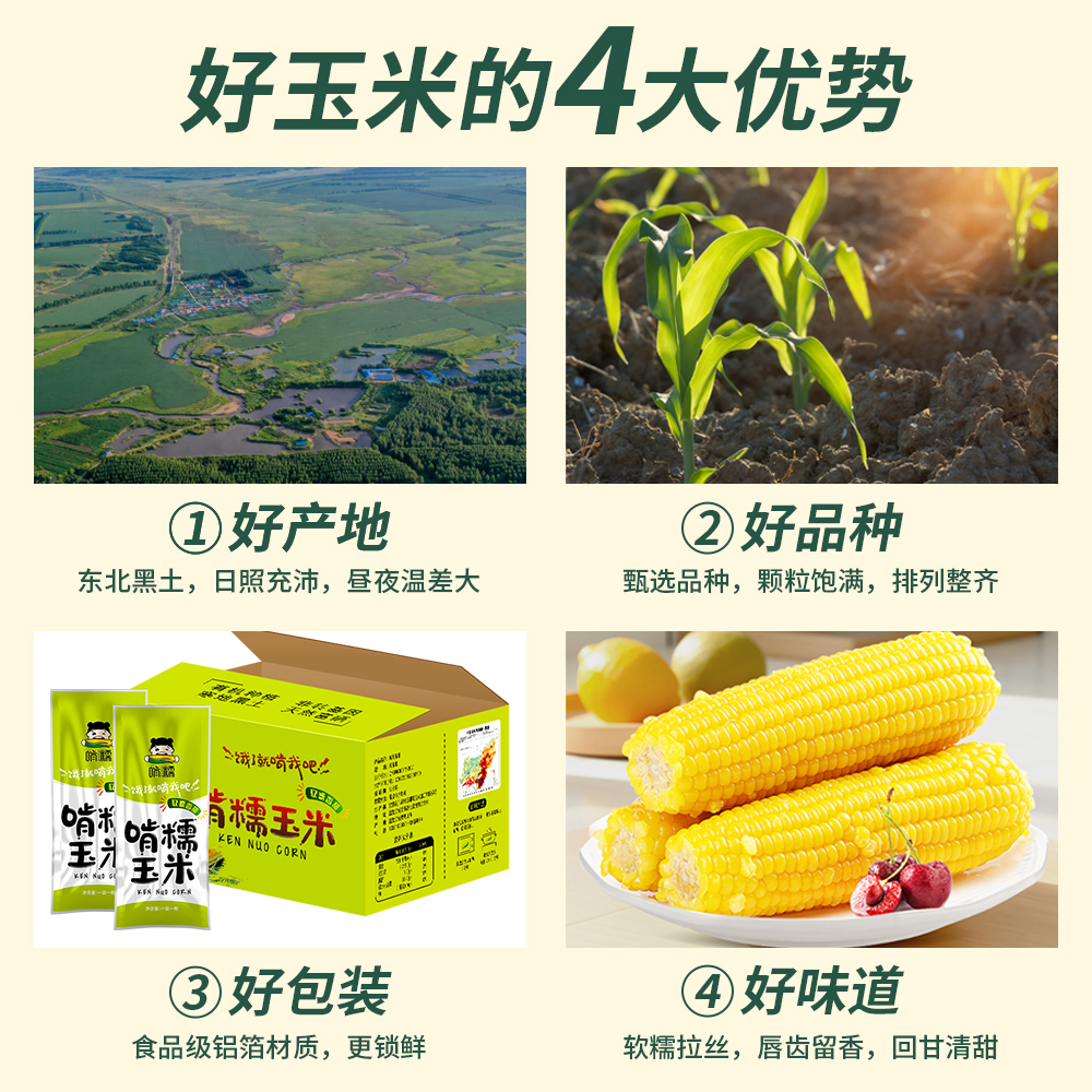 啃糯东北糯玉米非转基因新鲜真空包装黄黑粘甜黏农嫂代餐即食8棒