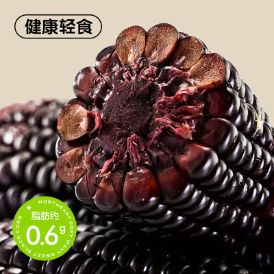 啃糯东北2025年黄糯玉米非转基因