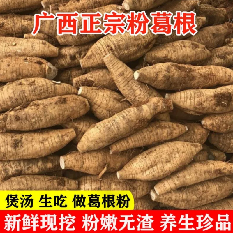 葛根新鲜广西和平粉葛无渣现挖大山野葛薯广东煲汤解酒生5斤包邮 - 图0