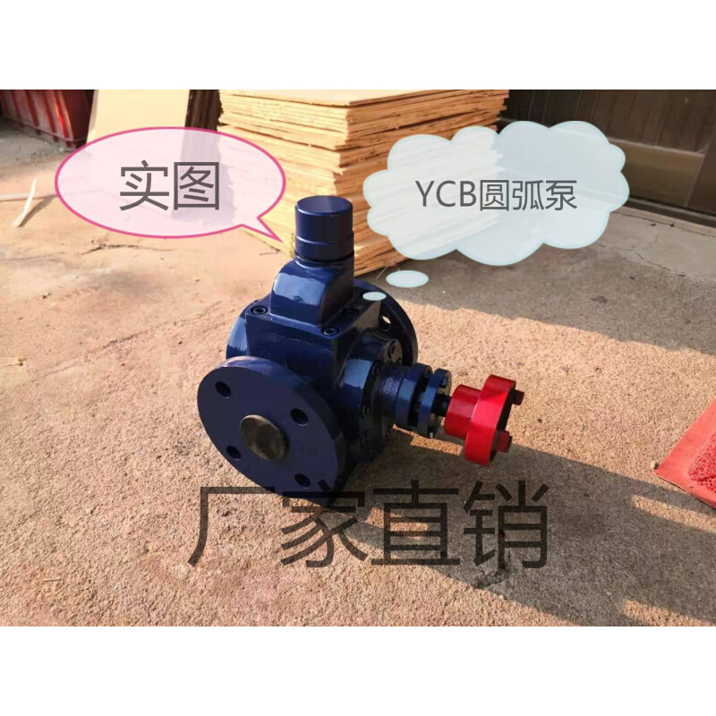 YCB圆弧泵齿轮泵YCB0.6/1.6/3.3/4//8/10/20/30 抽油泵泵头 - 图2