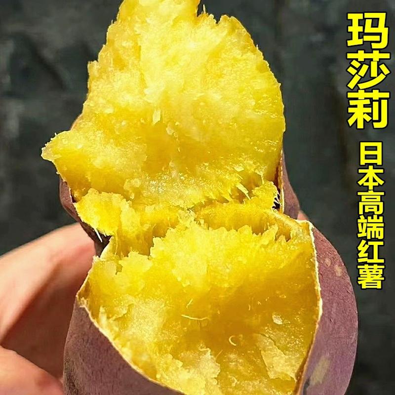 Marsali sweet potato, fresh Japanese sweet potato, golden sweet potato, sari soft and waxy super sweet yellow heart sweet potato