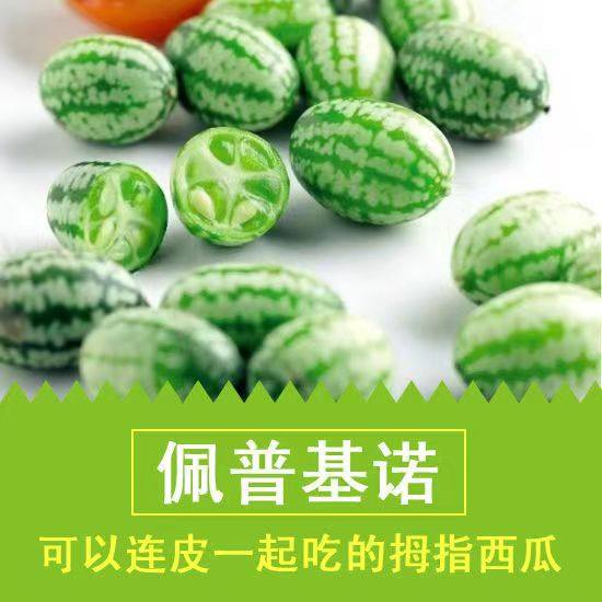 特色水果拇指西瓜新鲜果250g迷你网红母子小瓜佩普基诺稀奇生鲜,淘宝优惠券,粉丝福利购,淘宝优惠卷