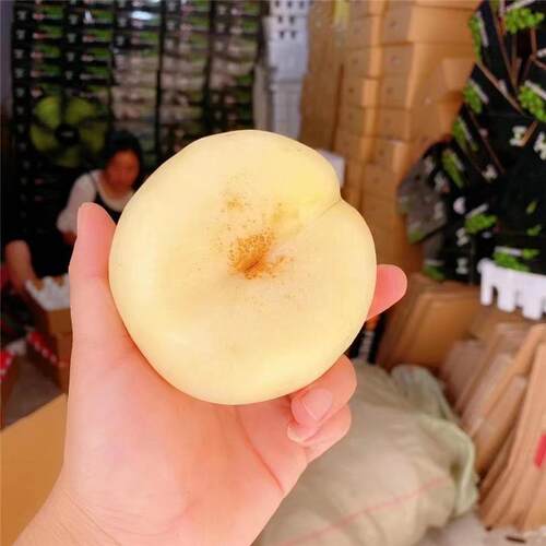 顺丰现摘蒙阴奶油蟠桃新鲜大果脆桃孕妇应季水果油桃沂蒙山白桃子 - 图2