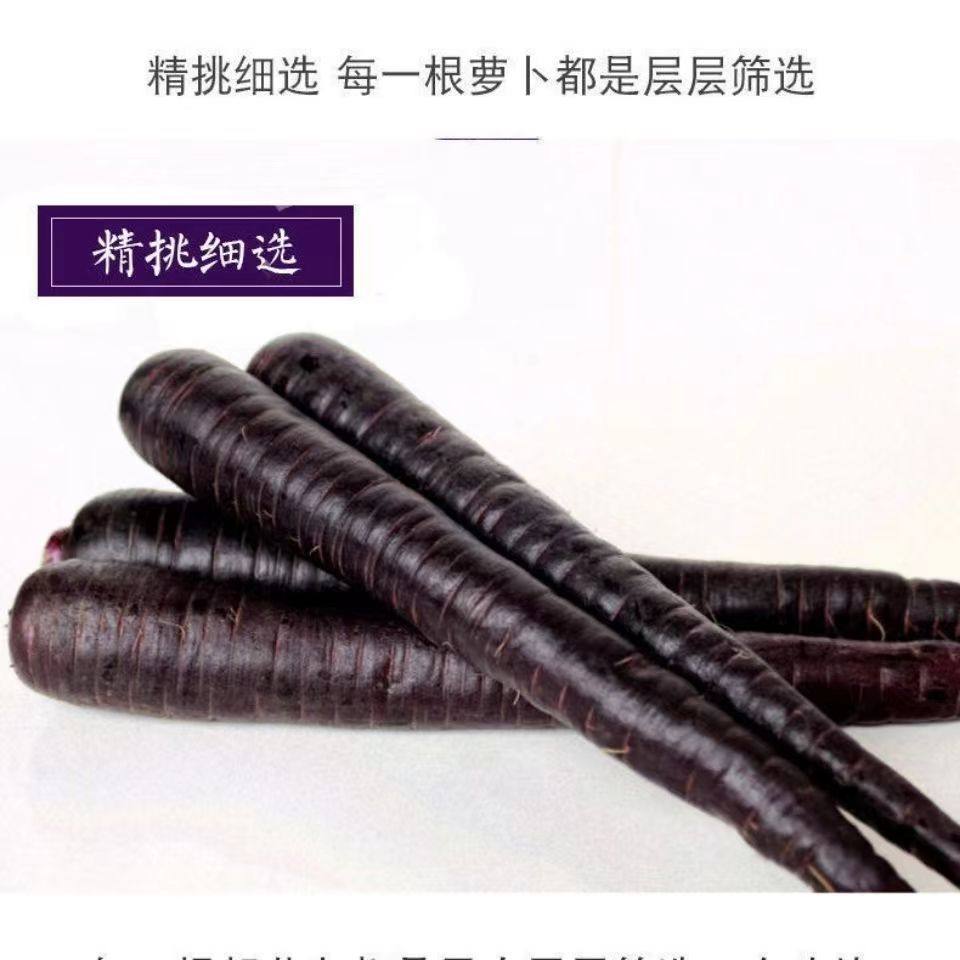 新鲜现挖现发紫色萝卜水果胡萝卜生吃花青素紫皮紫心胡萝卜5,淘宝优惠券,粉丝福利购,淘宝优惠卷