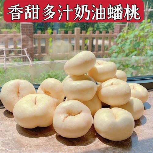顺丰现摘蒙阴奶油蟠桃新鲜大果脆桃孕妇应季水果油桃沂蒙山白桃子 - 图0