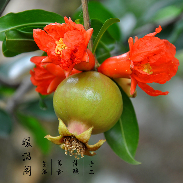 图3