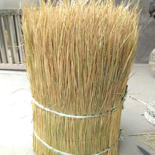 农家乐屋顶稻草装饰  稻草 稻草帘子 草垛道具干稻草制作 新稻草 - 图3