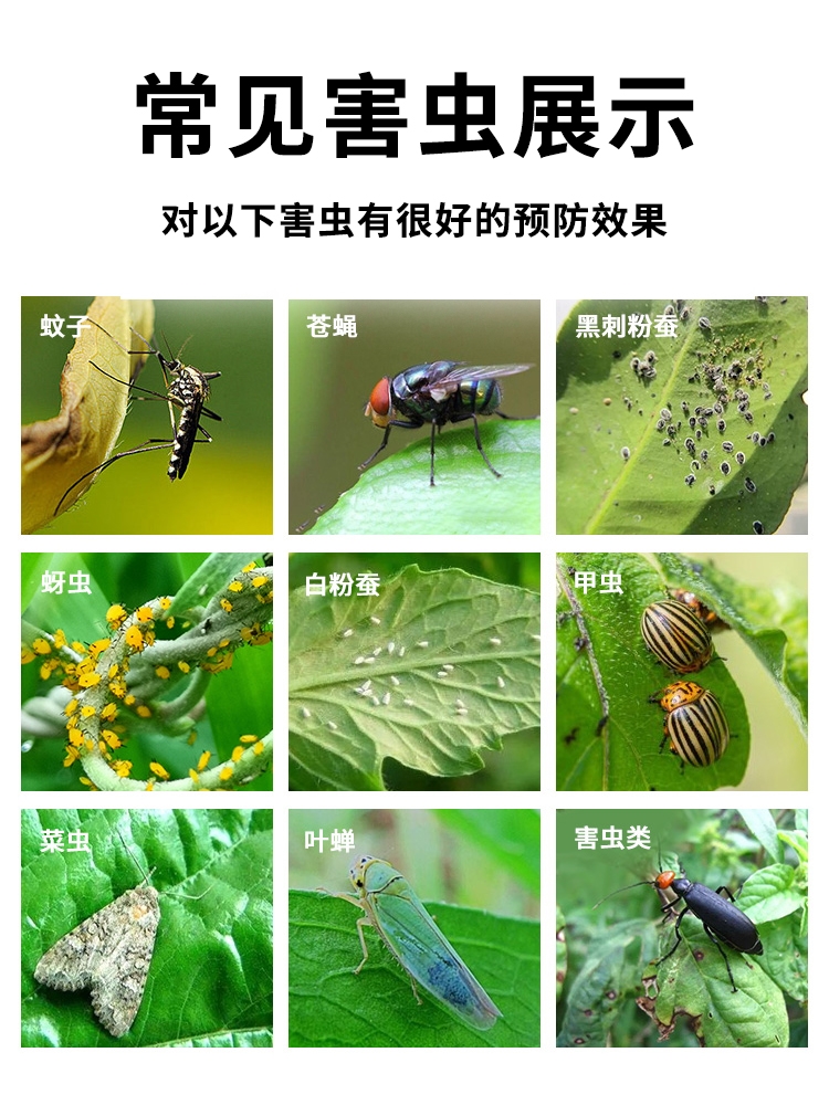 园艺防虫片菜地杀虫药无毒园林土壤杀虫剂菜园植物小白专用驱虫片 - 图2