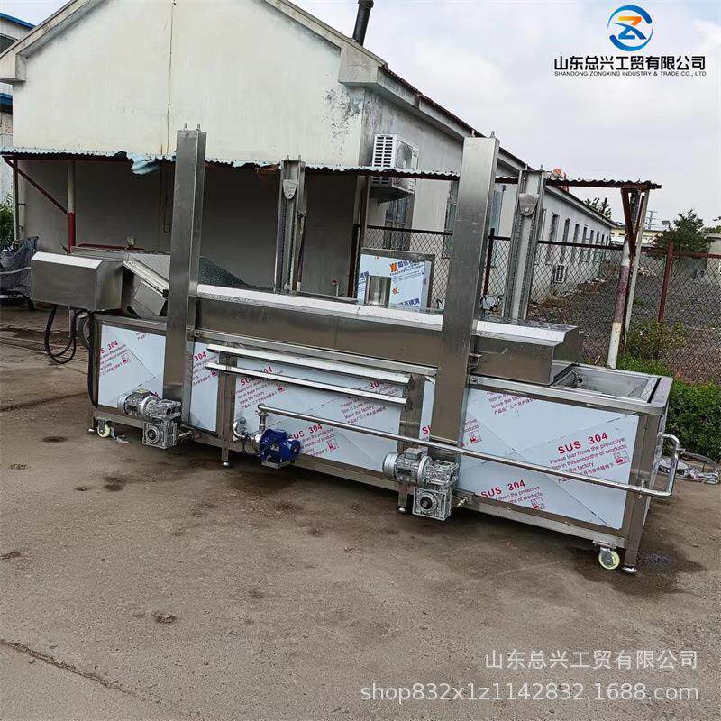 果茶全自动蒸煮漂烫机 薯条带提升式漂烫设备 鱼丸电加热漂烫线,淘宝优惠券,粉丝福利购,淘宝优惠卷