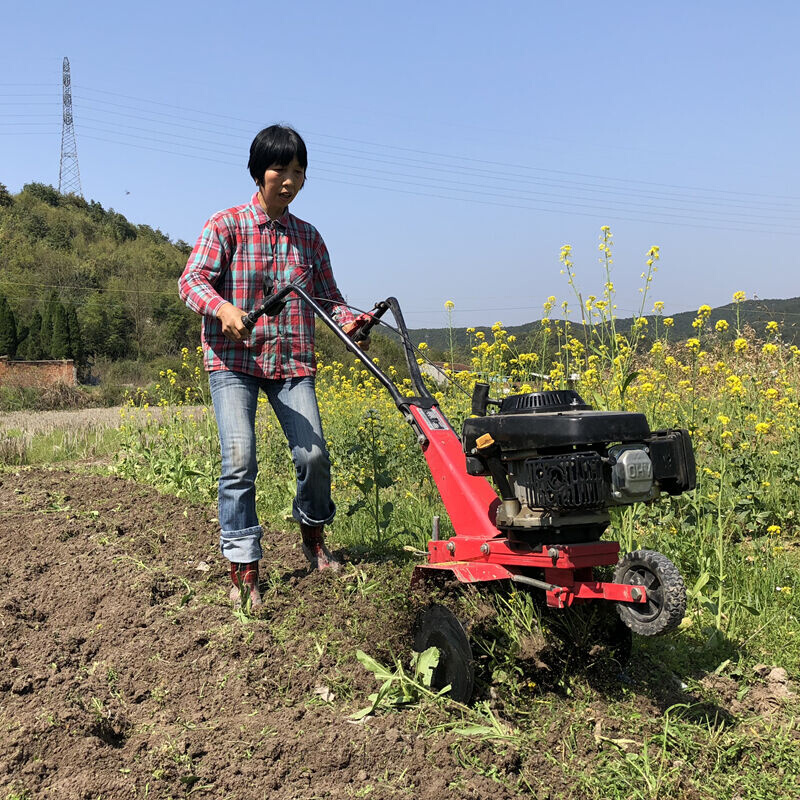 海道小型松土机汽油耕地机田园翻地机开沟除草挖地锄地旋耕机农用-图3