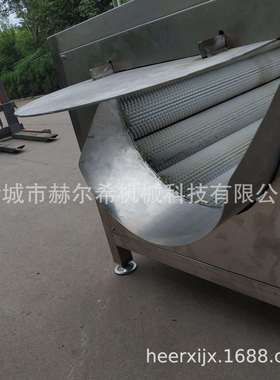 大型毛棍清洗机莲藕毛棍去皮清洗机果蔬毛刷清洗去皮机