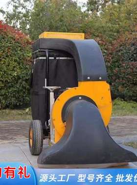 大型吸叶机大吸力公园草坪清扫机落叶清理手推自行树叶收集器