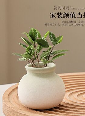 马卡龙色系迷你麦饭石粗陶多肉花盆鱼缸创意陶瓷花盆水草沉底盆