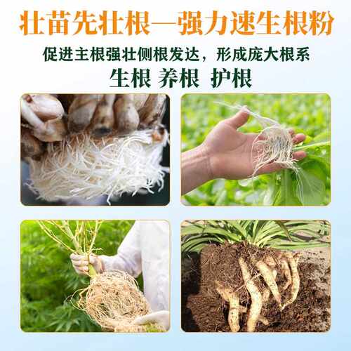珺颜生根粉微生物肥强力速生根养根护根改善土壤平衡生根粉500g - 图2