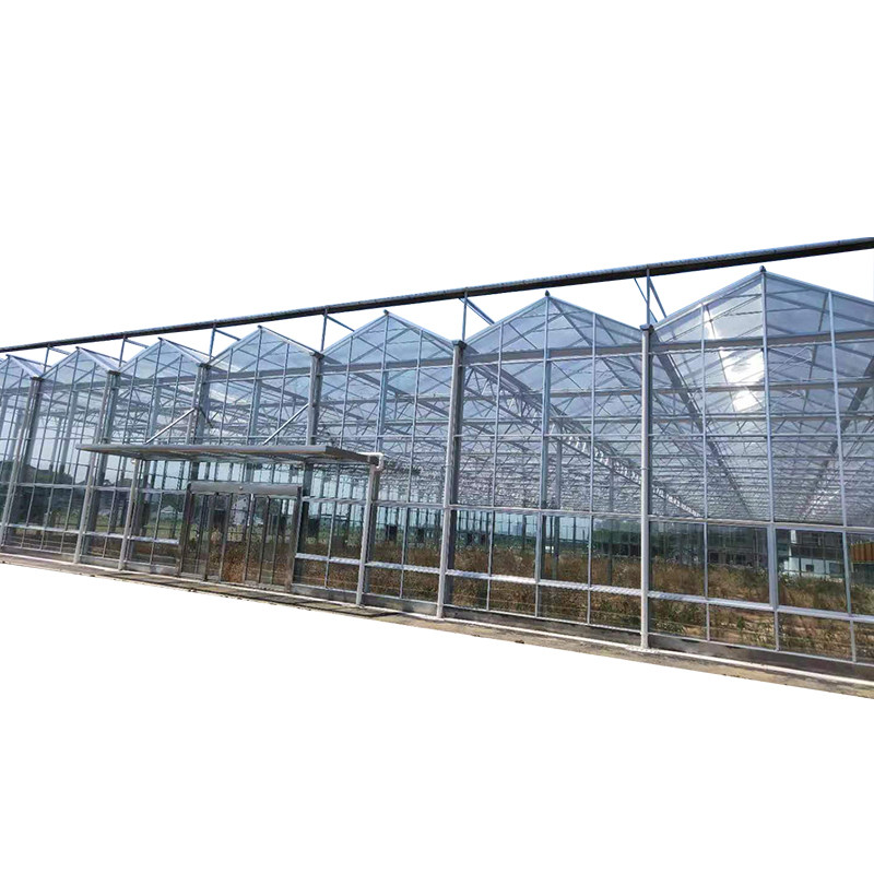 极速智能温室玻i璃大棚花卉蔬菜养殖A大棚骨架智能阳光板温室厂家,淘宝优惠券,粉丝福利购,淘宝优惠卷