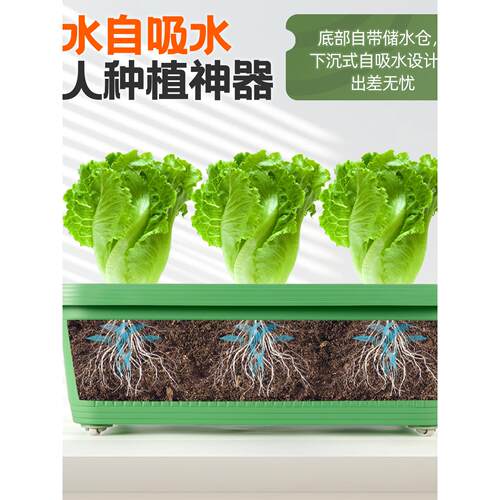 阳台种菜盆专用箱专用盆室外花盆长方形懒人种植盆家用大号蔬菜盆 - 图0
