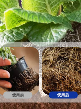 艾尚棵植物爆根粉生根粉原粉快速发根壮苗袋装小包装果树专用大袋