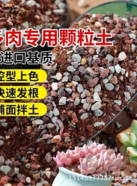 多肉颗粒专用土进口泥炭基质种植多肉叶插铺面石颗粒通用幼苗成株
