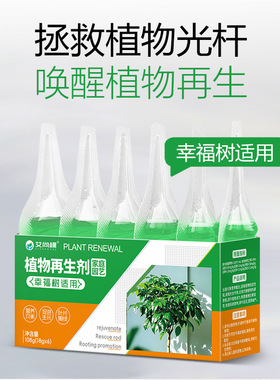 艾尚棵植物再生剂幸福树专用营养液家用园艺养花肥料复活液通用型