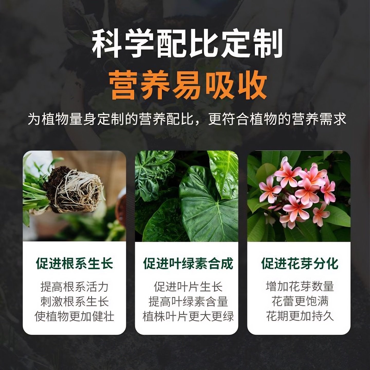 植物营养液通用型花肥水培发财树养花蔷薇玫瑰蔬菜叶菜用营养液体,淘宝优惠券,粉丝福利购,淘宝优惠卷