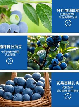 蓝莓调酸宝营养液肥调酸补铁防黄化喜酸植物专用微量元素水溶肥料