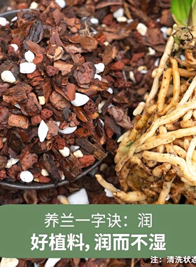 兰花专用土君子兰蝴蝶兰植料高级兰花土颗粒肥高端松树皮种兰花