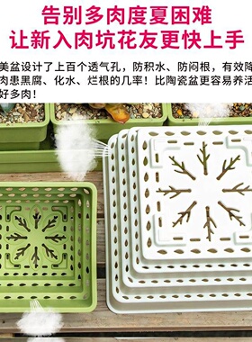树脂多肉花盆大口径小白方组合带底座托盘塑料透气植物专用控根盆