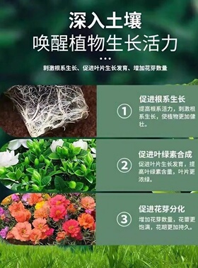绿植物花卉通用型长效颗粒缓释肥多肉绿萝月季促花营养控释复合肥