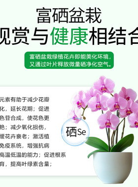 氨基酸水溶肥一件代发纳米富硒爆芽剂营养液植物通用型园艺叶面肥